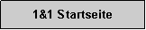 Textfeld: 1&1 Startseite