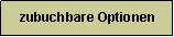 Textfeld:  zubuchbare Optionen